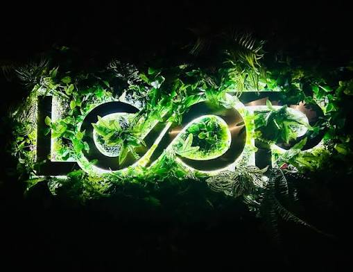 Loop Bar and Lounge